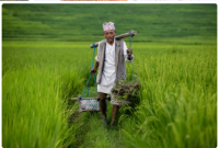 Nepal Govt Provides Grant to Promote Traditional Agri Skills,