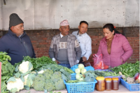 Nepali Edition | Local Organic Certification System Boosts Incomes and Markets for Smallholder Farmers in Nepal